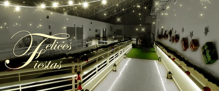 FELICES FIESTAS